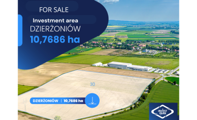 Investment plot for sale in Dzierżoniów. View of the investment area.