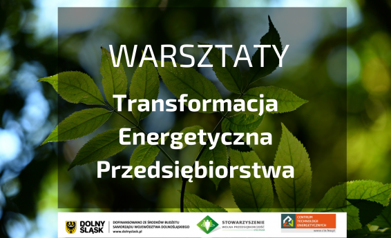 Transformacja energetyczna przedsiębiorstwa, warsztaty. W tle zielone liście drzew.