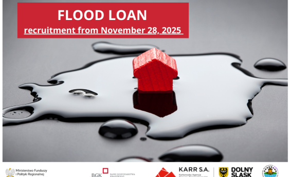 Flood loan. Application date: November 28, 2025. Decorative graphics in the background.